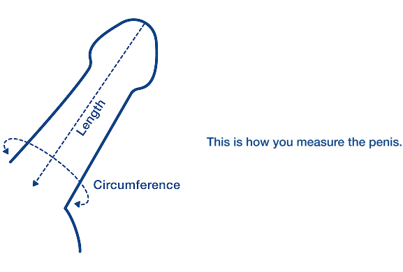 the-sizeimage